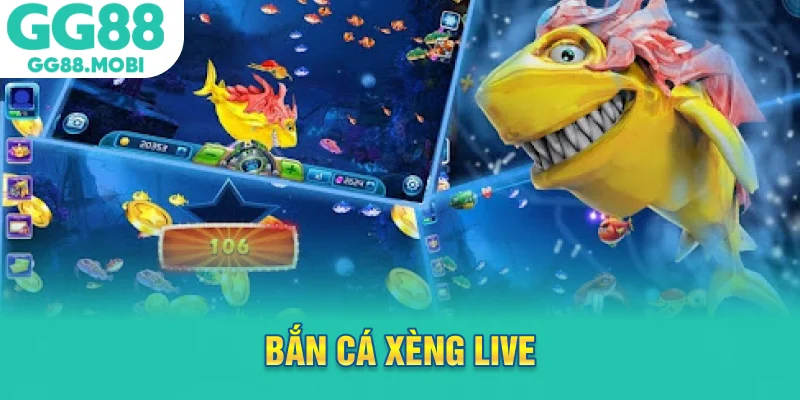 bắn cá xèng live